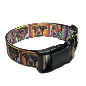 Pit Bull Dog Collar
